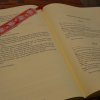 Zeslanie_Ducha_Swietego_2025_101