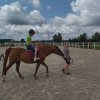 Borycz_161