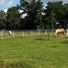 Borycz_44