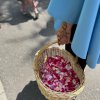 Boze_Cialo_2025_124