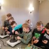 Ferie_z_pomyslem_113