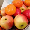 Ferie_z_pomyslem_126